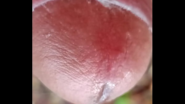 Que cabeção grande é essa da minha piroka wow